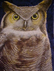 Elliott,Bernie-Great Horned Owl