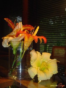 Lillies in Glass