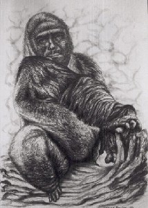Gorilla with selfportrait