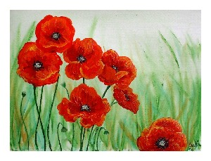 Simply Poppies
