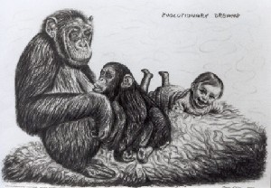 Chimpanzee with baby and selfportrait