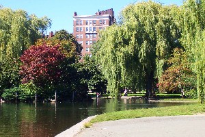 Hayes,Kelly-Boston Garden