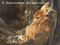Latham,Karen-Hidden - Fawn