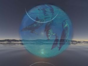 Moon Dolphins