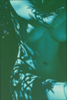 Blue Nude