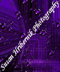 hribernik,susan-Purple Distortion