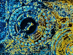 Panther Wheels Abstract