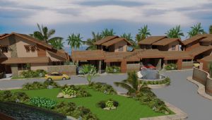 Plot View