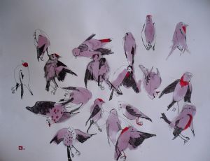 birds in my garden