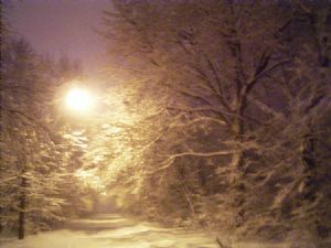 Winter Night Light