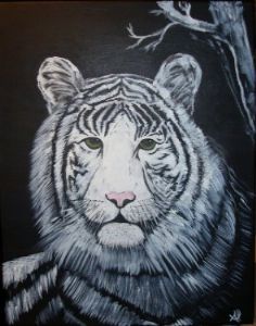 Borrego,AL-White Tiger