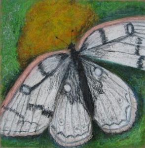 Velka,Stella-White butterfly 2