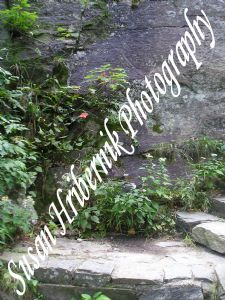 hribernik,susan-Rock Stair Garden