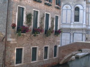 Flower Boxes, Venices