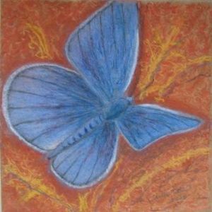 Velka,Stella-Blue butterfly