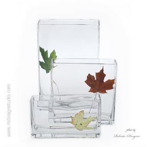 glass and leaf