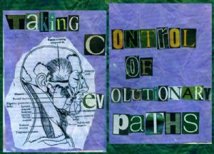 taking control of evolutionary paths