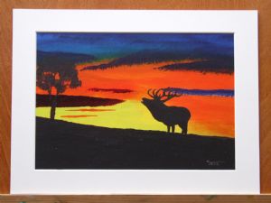 Stag in The Sunset