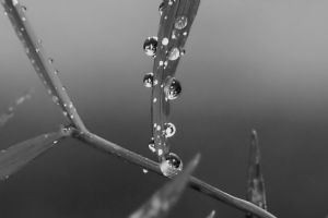And Then It Stopped Raining