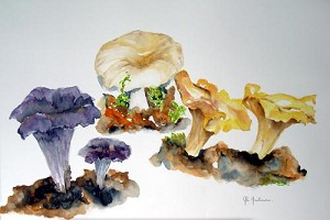 GIUSTINIANI,Ghislaine-Les champignons