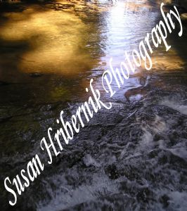 hribernik,susan-Downstream Reflection