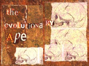 the evolutionary ape
