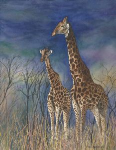 Farber,Sharon-Giraffes