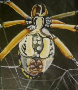 Gauthier,Alana-Spider's Web