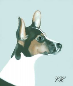 Little Dog Animal