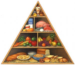 FDA Food Pyramid