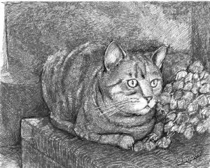 Breslow,Stephen-Wicker Cat