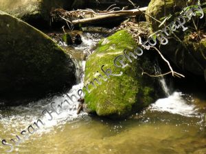 hribernik,susan-Moss Rock Waterfall