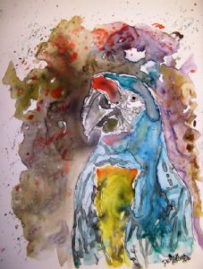 mccrea,derek-macaw parrot