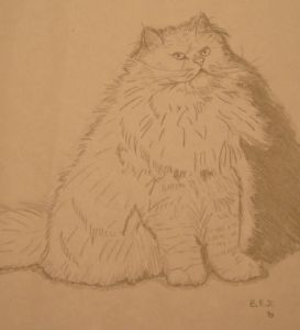 Klinge,Bo-Persian Cat 3