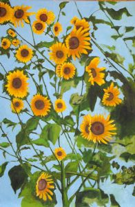Wild Kansas Sunflowers