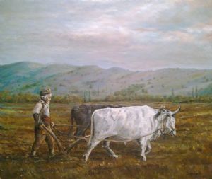 Plowman from the old time