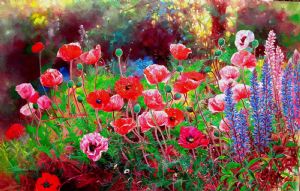 Poppy garden