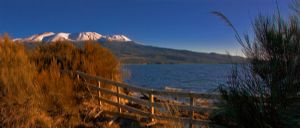 Mt Ruapehu View