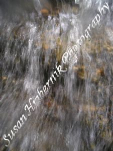 hribernik,susan-Tiger Splash Rocks