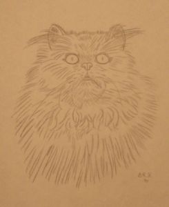 Klinge,Bo-Persian Cat 1