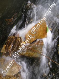 hribernik,susan-Water Over Rocks