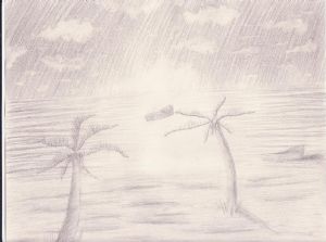 Palm trees