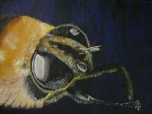 Bumble Bee Close- Up