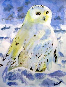 Elliott,Bernie-Snowy Owl
