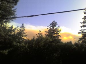 Fire Power-Bonny Doon, Martin