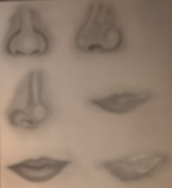 noses and mouths