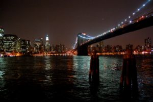 Haag,Emily-The Brooklyn Bridge