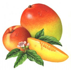 Mango and Peach