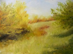 Next to the forest
