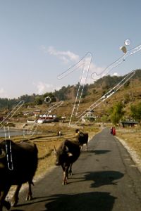 Zorrilla,Tania-Nepal 12
